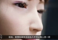 男女上床的视频