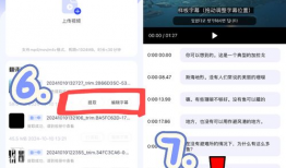 视频翻译,探索未知世界的奥秘