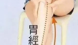 胃经敲打顺序视频,穴位按摩助您养生保健